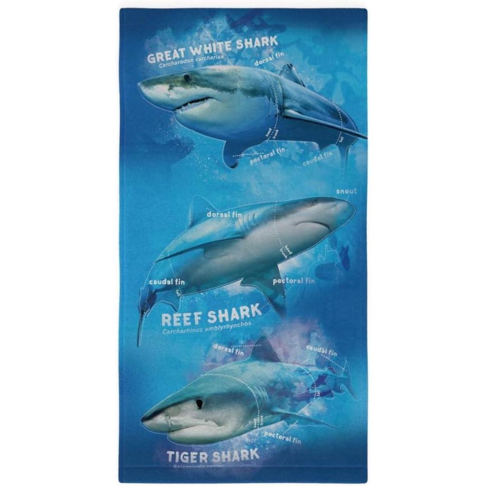 imageFranco Dora The Explorer Kids Super Soft Cotton BathPoolBeach Towel 58 in x 28 in Offically Licensed ProductShark Week