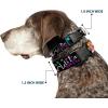 Buckle-Down “Dora & Boots Pose/Floral LET’S PLAY!/VAMOS A JUGAR! Black/White/Multicolor” Plastic Clip Collar, 1/2″ x 6-9″/Small(1″ Wide – Fits 11-17″ Neck – Medium)