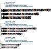 Buckle-Down “Dora & Boots Pose/Floral LET’S PLAY!/VAMOS A JUGAR! Black/White/Multicolor” Plastic Clip Collar, 1/2″ x 6-9″/Small(1.5″ Wide – Fits 13-18″ Neck – Small)