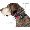 Dog Collar Plastic Clip Dora The Explorer Dora Poses Floral Collage Orange Pink 8 to 12 Inches 0.5 Inch Wide(1″ Wide – Fits 15-26″ Neck – Large)