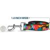Dog Leash Dora The Explorer Dora Poses Floral Collage Orange Pink 4 Feet Long 1.5 Inch Wide(6 Feet Long – 1.5″ Wide)